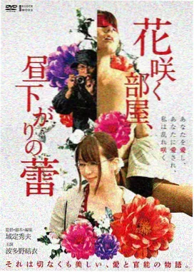 海边小城电影手记封面